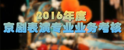 97人人操康先生国家京剧院2016年度京剧表演专业业务考...